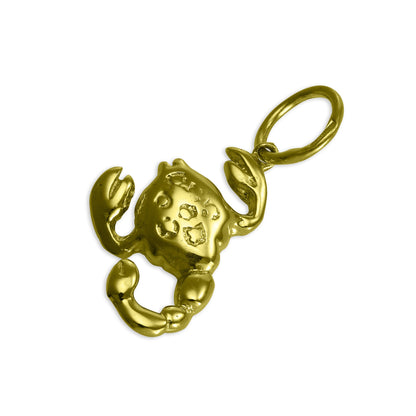 9ct Gold Large Zodiac Sign Charms