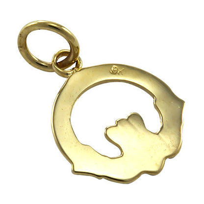 9ct Gold Claddagh Charm